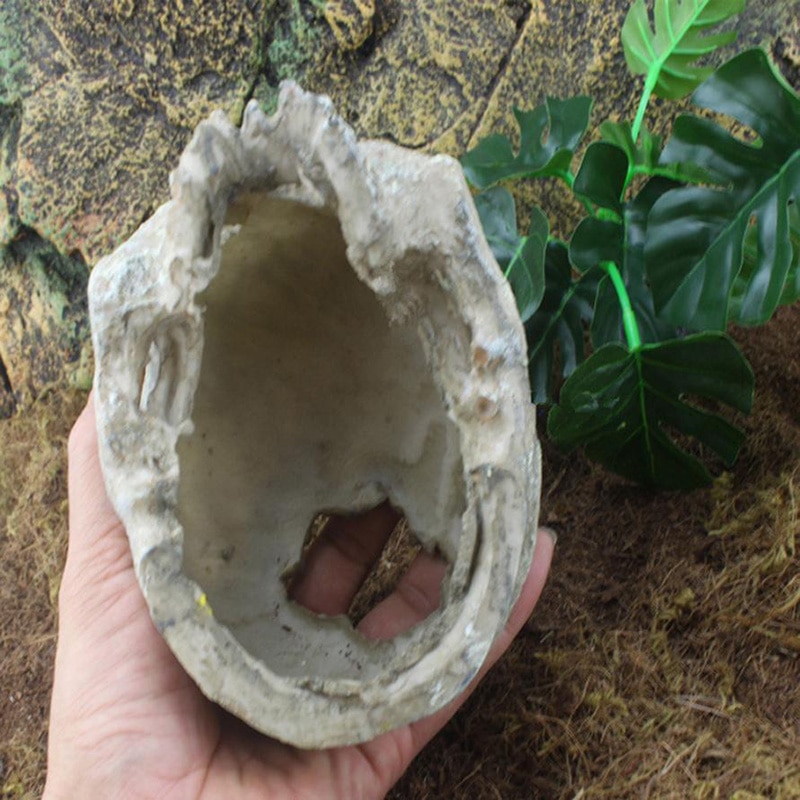 Skull Figurine for Decor