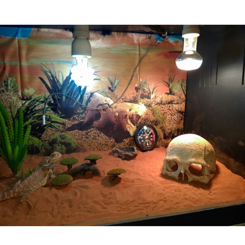 Skull Figurine for Decor