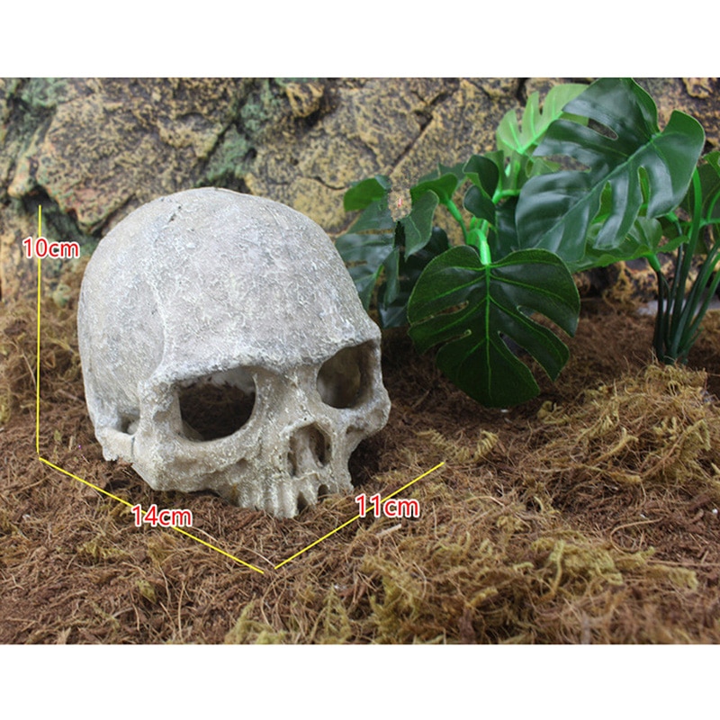 Skull Figurine for Decor