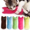 Cat's Funny Catnip Plush Toy